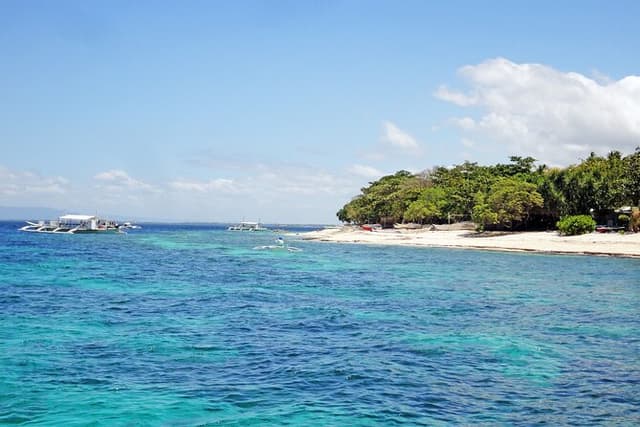Bohol Balicasag Island Tour Private with LUNCH