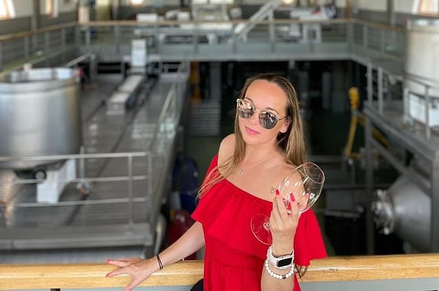 Full-Day Tokaj Wine & Cellar Tour from Kosice
