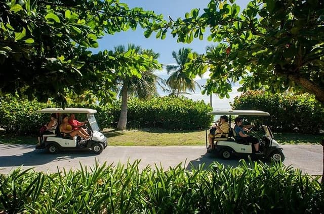Golf Cart Eco Tour Half Day Tour