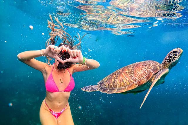 Koh Tao Blue Escape A Private Charter Snorkeling Adventure