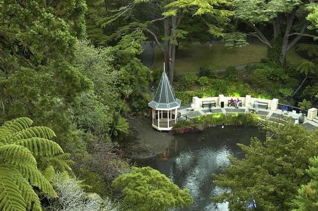 Wildlife Private Tour from Wellington Cruise Port