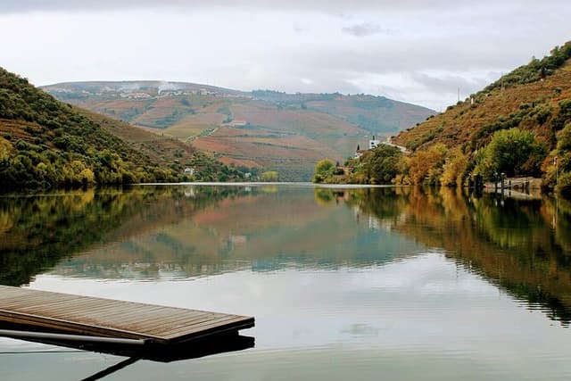 Tour privado do Porto ao Pinhão: caminhada e vinhos.