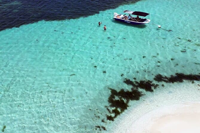 Unforgettable Marine Adventures: Cousteau Reserve Tours