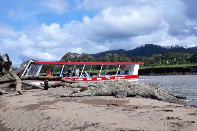 Best Puntarenas Crocodile Boat Tours