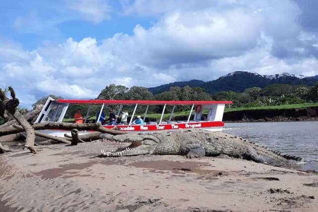 Crocodiles and Monkeys Tour to the Coast