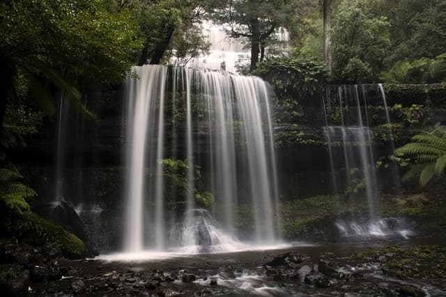 Hobart: Mt. Field, Mt Wellington & Wildlife - Active Day Tour