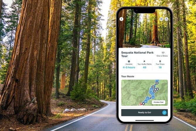 Sequoia National Park Tour