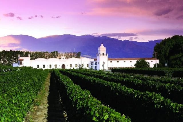 Tour to Cafayate from Salta