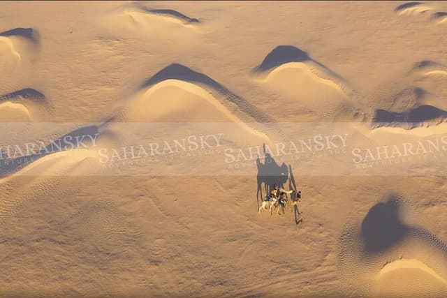3-Day Tunisia Sahara Desert Camel Trek from Douz