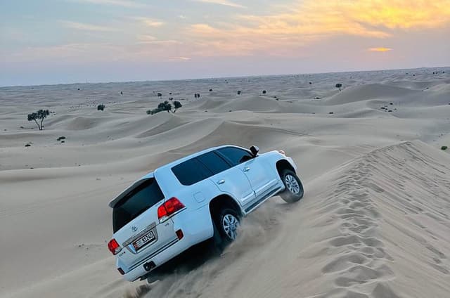 Abu Dhabi Desert Safari with Camel Ride BBQ Dinner and Live Shows