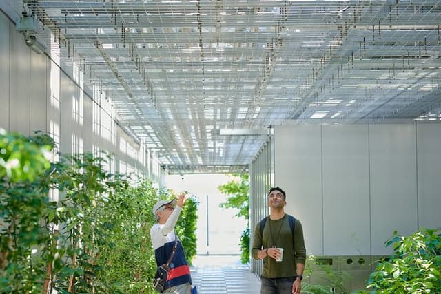 Small-Group Architecture Tour in Ginza, Tokyo