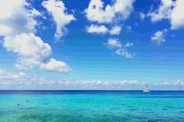 Cozumel Island Tour: Mayan Ruins, Reef Snorkeling & Beach Escape