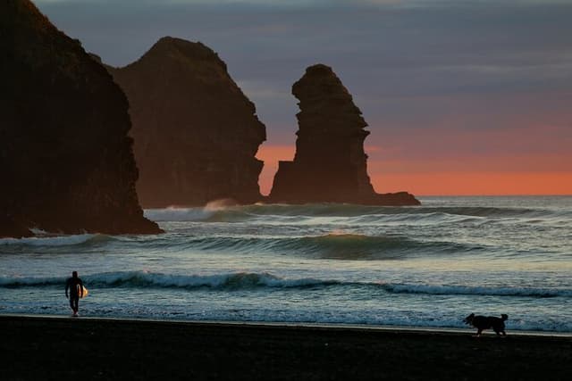 Piha Beach & Wilderness Nature : PRIVATE TOUR 7 hrs
