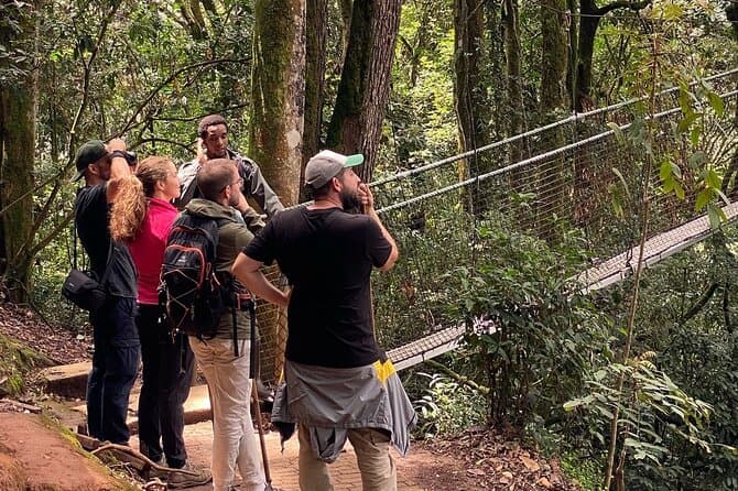 Best Nyungwe National Park Tours & Rainforest Adventures