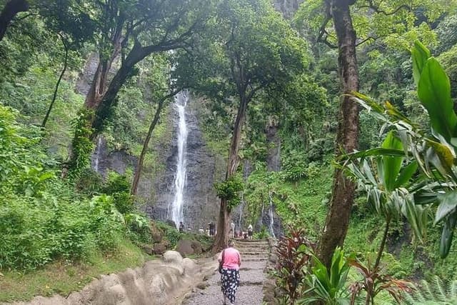 Private 3h Tour of Papeete & Tahiti's East Coast by Lydia