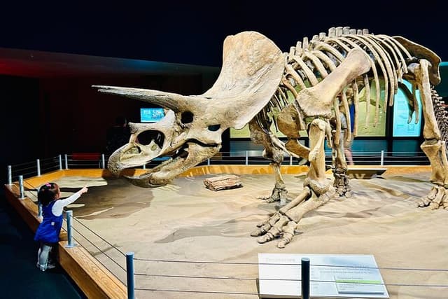 Drumheller: Best of Badlands and Dinosaurs Private Tour