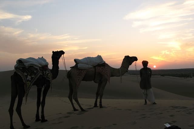 Shahi Half day non touristic sand dune camel safari with dinner