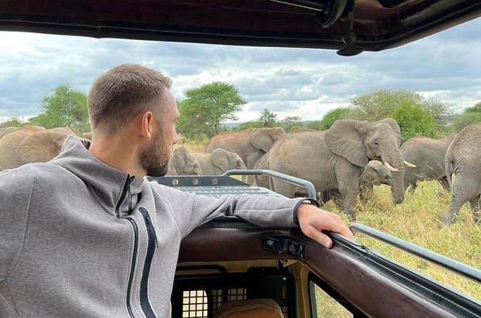Compare Ngorongoro Safari Packages