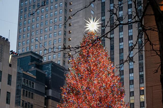 Home Alone Lost In New York Filming Locations with Private Guide