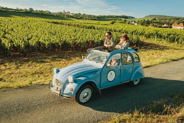 Half-day guided tour on the Burgundy wine Route in a classic car
