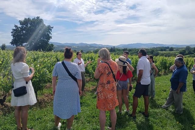 Private half-day tour to Golden Stones Beaujolais with tastings