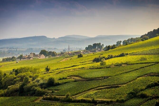 Côte de Beaune Wine Tour: Dijon Tastings & Vineyards