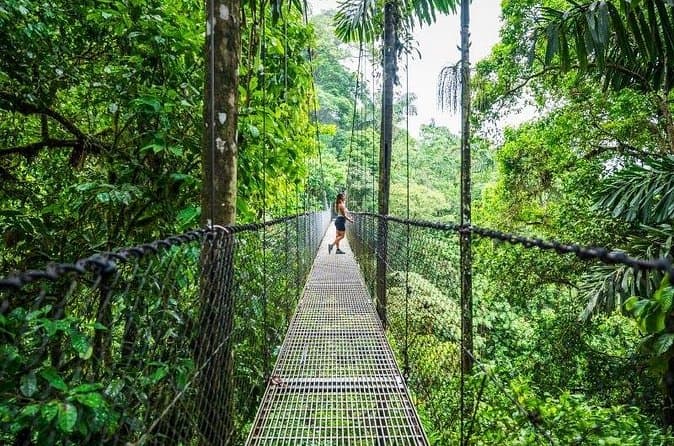 Compare Top Arenal Hanging Bridges Tours