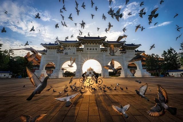 Taipei City Morning Tour with National Palace Museum entry