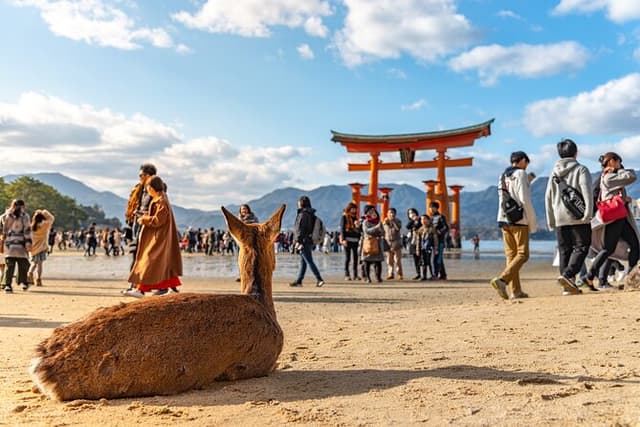 Hiroshima and Miyajima Day Trip with Itsukushima Shrine & Ferry