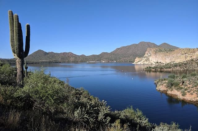 Guided Hike: Saguaro Lake View