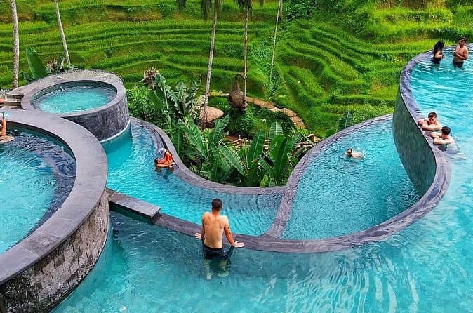 Best Monkey Forest Tours in Seminyak