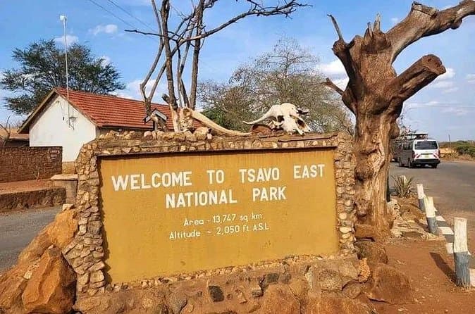 Compare Tsavo Safari & Diani Beach Tours