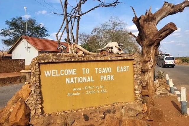 1 Day Tsavo East Safari Discovery of Kenya's Wildlife 