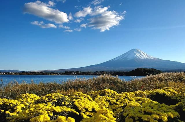 Mount Fuji Five Lakes Private Tour (Customizable)