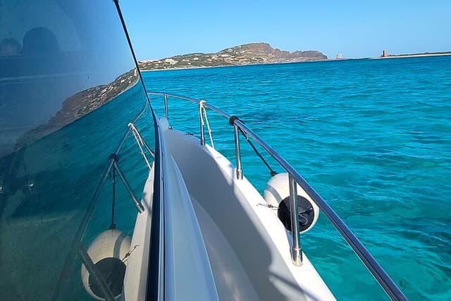 Asinara: 4 Stops, Official Guide, and Local Seafood Lunch