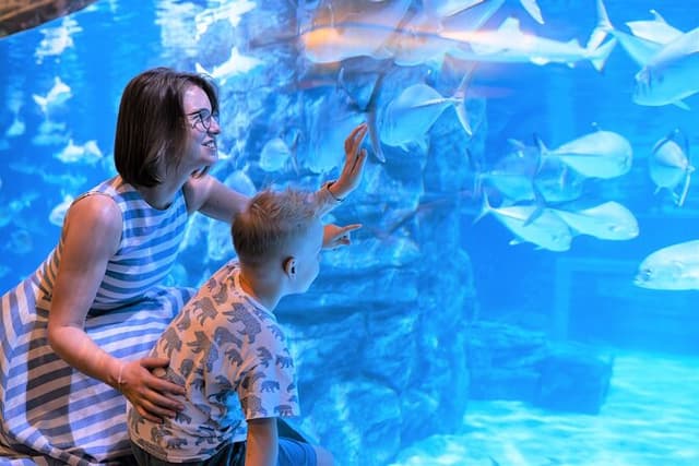 Aquaria Phuket Ticket Top Aquarium Attraction Experience
