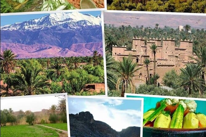 Skoura Bike Tour: Sahara Adventure Ride