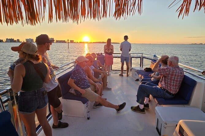 Compare Top Dolphin Boat Tours in Fort Myers