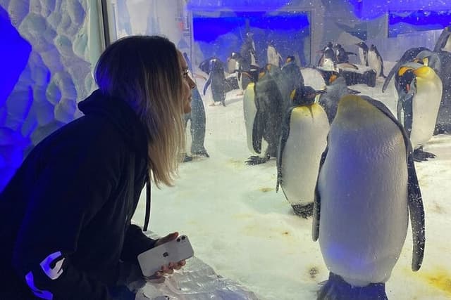 Private Tour: Auckland City, Aquarium, Sky Tower, Mt Eden & Wētā