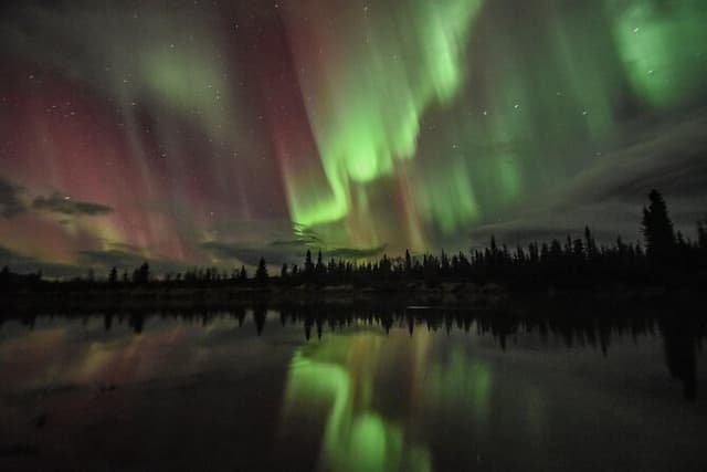 Northern Lights and Huskies
