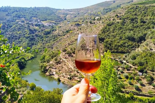 Douro Valley Day Trip: 2 Wineries, Private Boat & Authentic Lunch