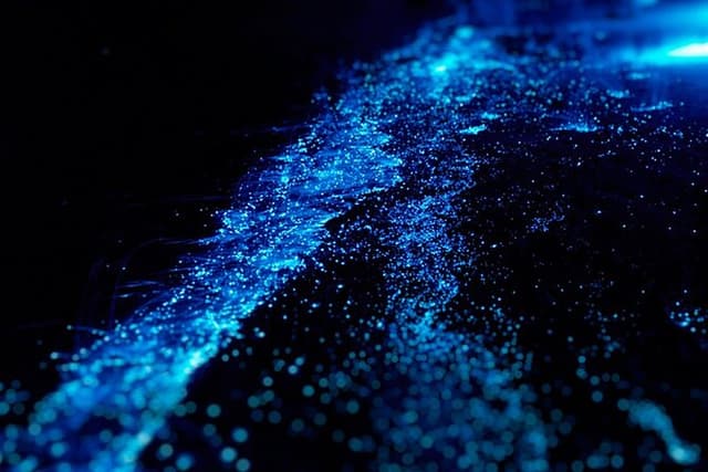 Cat Ba: Sunset & Bioluminescent Kayaking on Lan Ha Bay