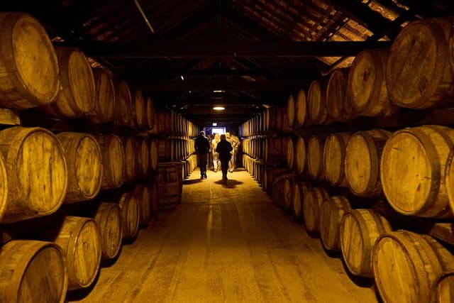 Cork Midleton DistilleryJameson Experience & Whiskey Tasting