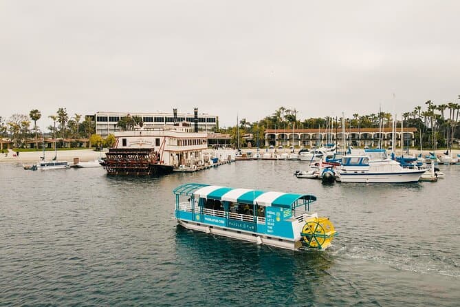 Best San Diego Dinner Cruise Tours & Packages