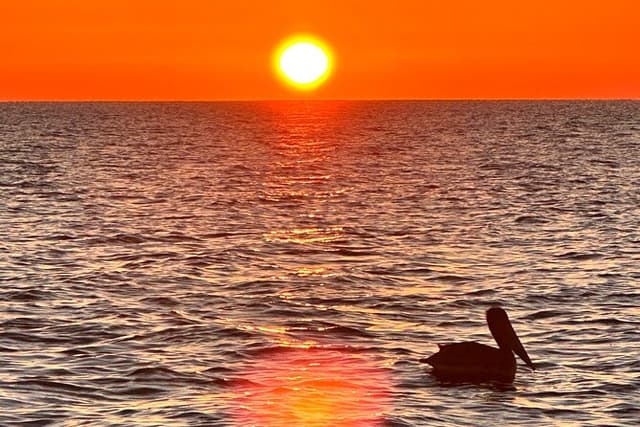 Daytona Beach: Sunrise Cruise on the Atlantic Ocean