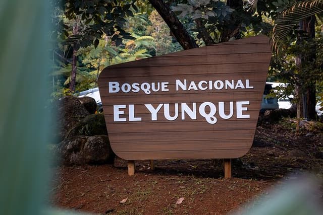 El Yunque Rainforest EZ-going Bus Tour (wheelchair accessible)
