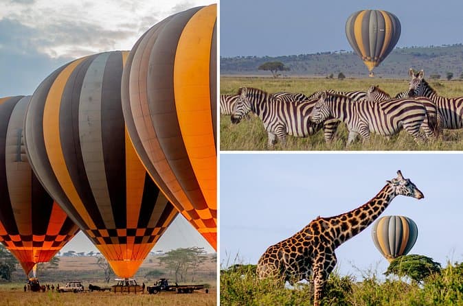 Arusha to Serengeti Safari Tours & Activities