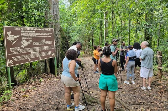 Trinidad Nature and Asa Wright Center Full-Day Tour from Port of Spain