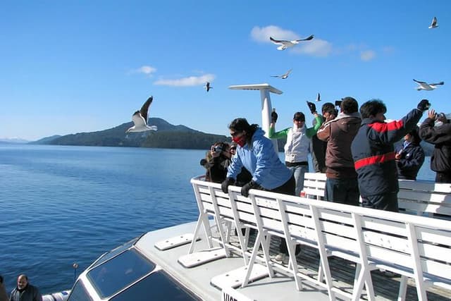 Explore Peulla Full Day Tour from Puerto Montt
