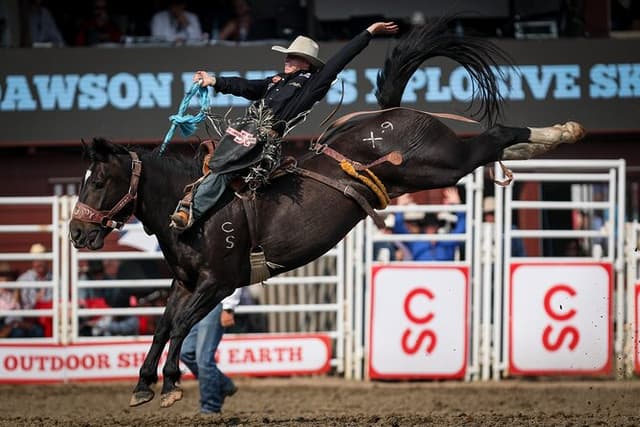 Calgary Stampede Afternoon Rodeo